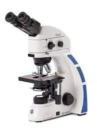 Upright Microscope image
