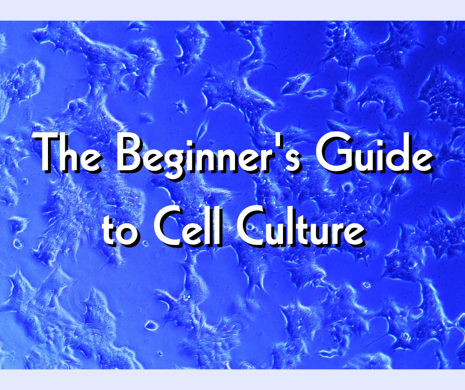 The-Beginner's-Guide-to-Cell-Culture image
