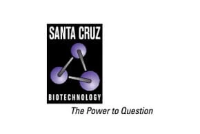 SANTA CRUZ logo