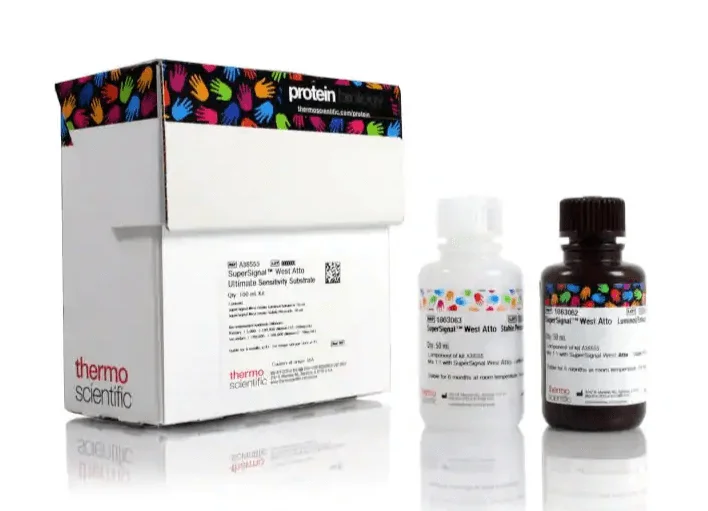 chemiluminesence-detection-system image