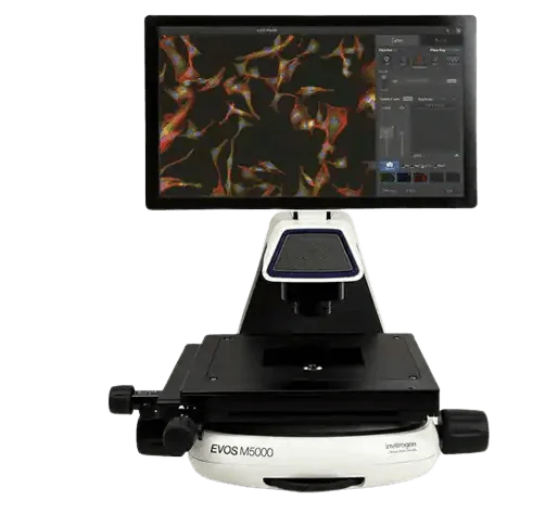 Inverted Flurosence Microscopes image