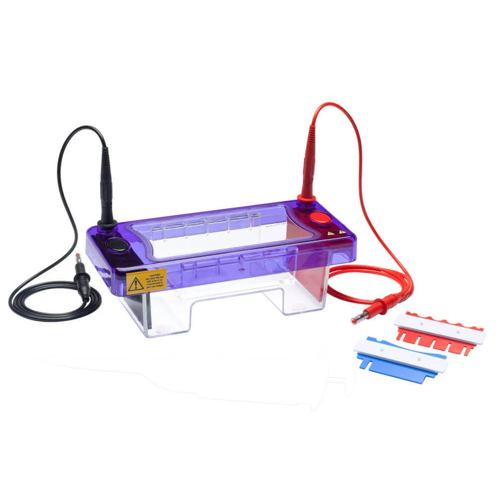 Gel Electrophoresis image