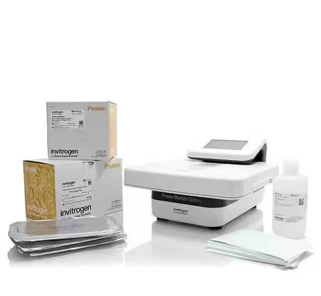 Blotting Apparatus image